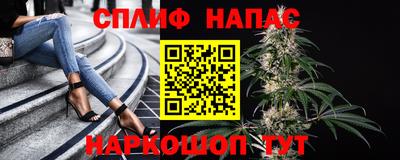 дмт Пушкино