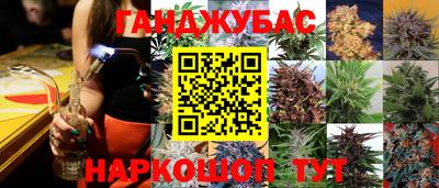 дмт Пушкино