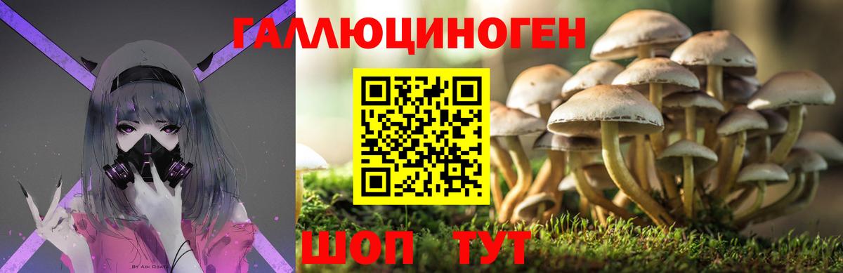 Галлюциногенные грибы GOLDEN TEACHER  Вход с VPN  Ноябрьск 
